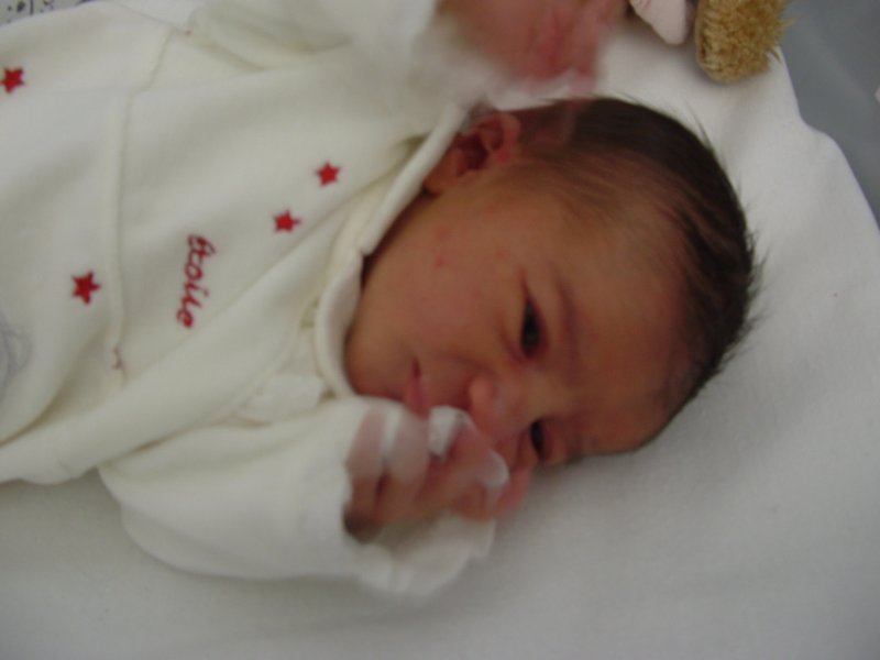 dicembre2006.jpg
