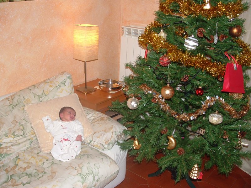 dicembre20063.jpg
