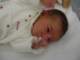 dicembre2006_small.jpg