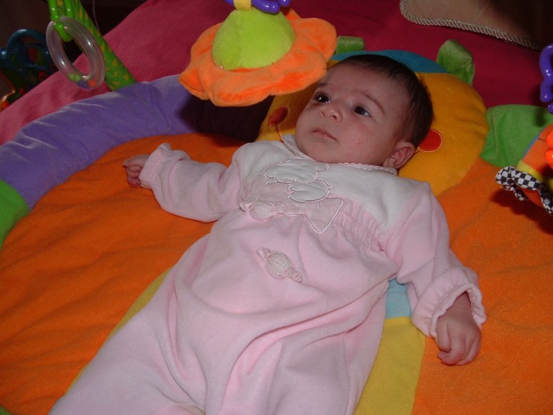 gennaio20076.jpg