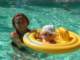 luglio200712_small.jpg