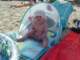 luglio20074_small.jpg